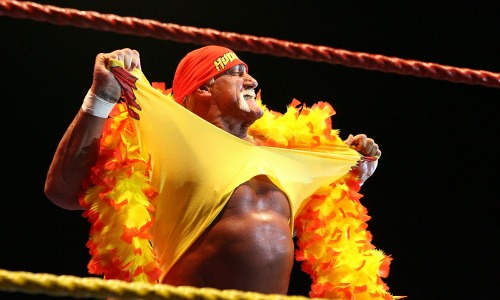 hulk-hogan