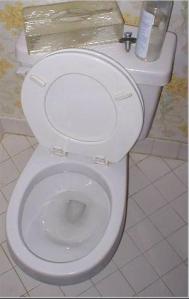toilet1
