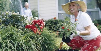 Select and Care of Annuals and Perennials