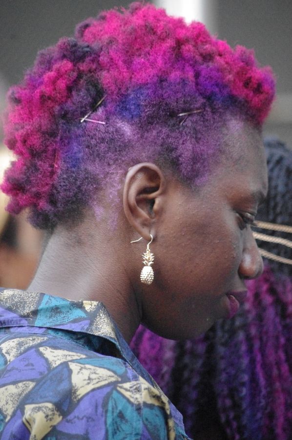 Afropunk 2015