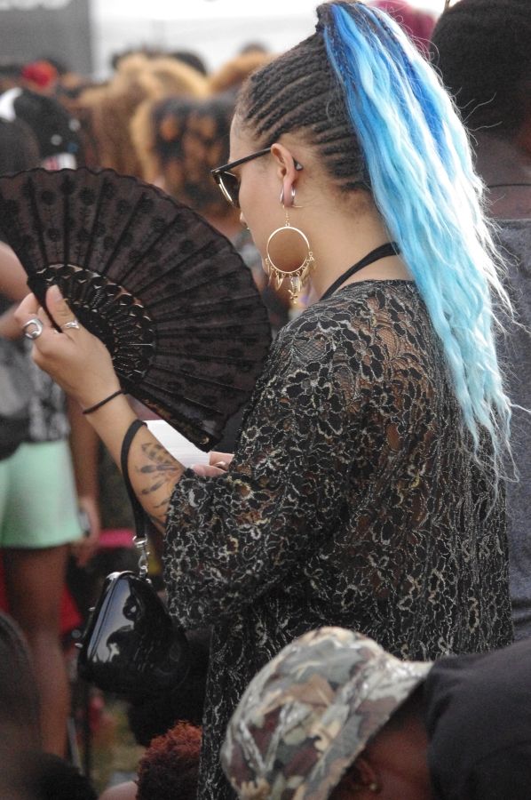 Afropunk 2015