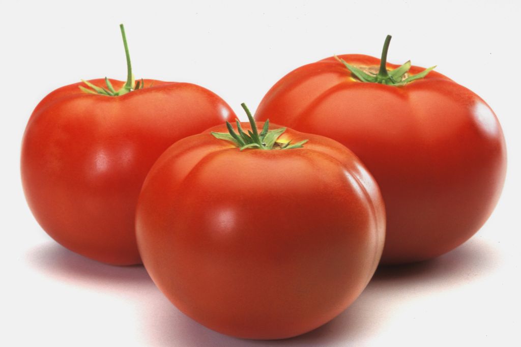 Three tomatoes on counter, close-up