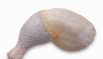 Close-up of raw chicken leg