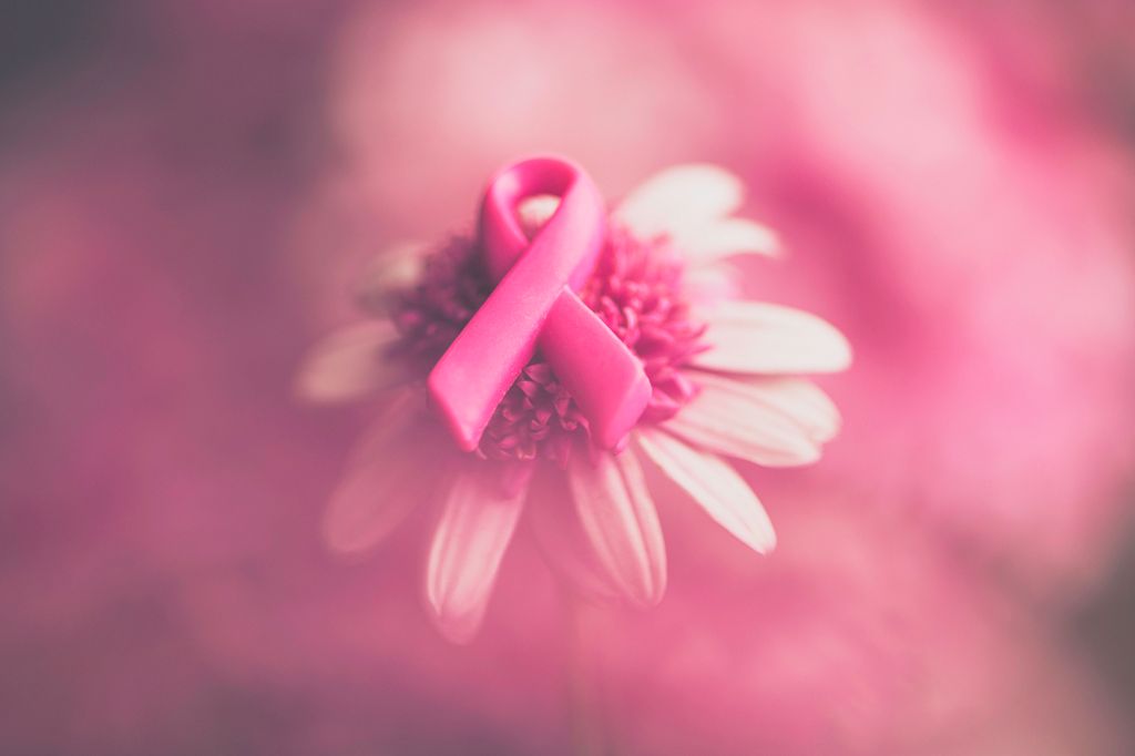 Breast Cancer Awareness ribbon on pink flowers with soft background