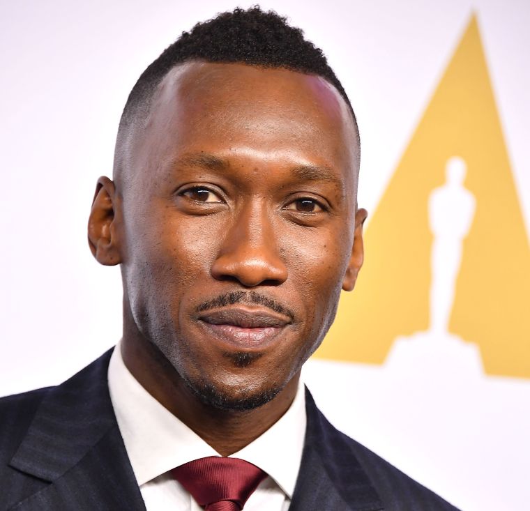 2017 Big Ass Face Awards: Best Male Actor Nominee