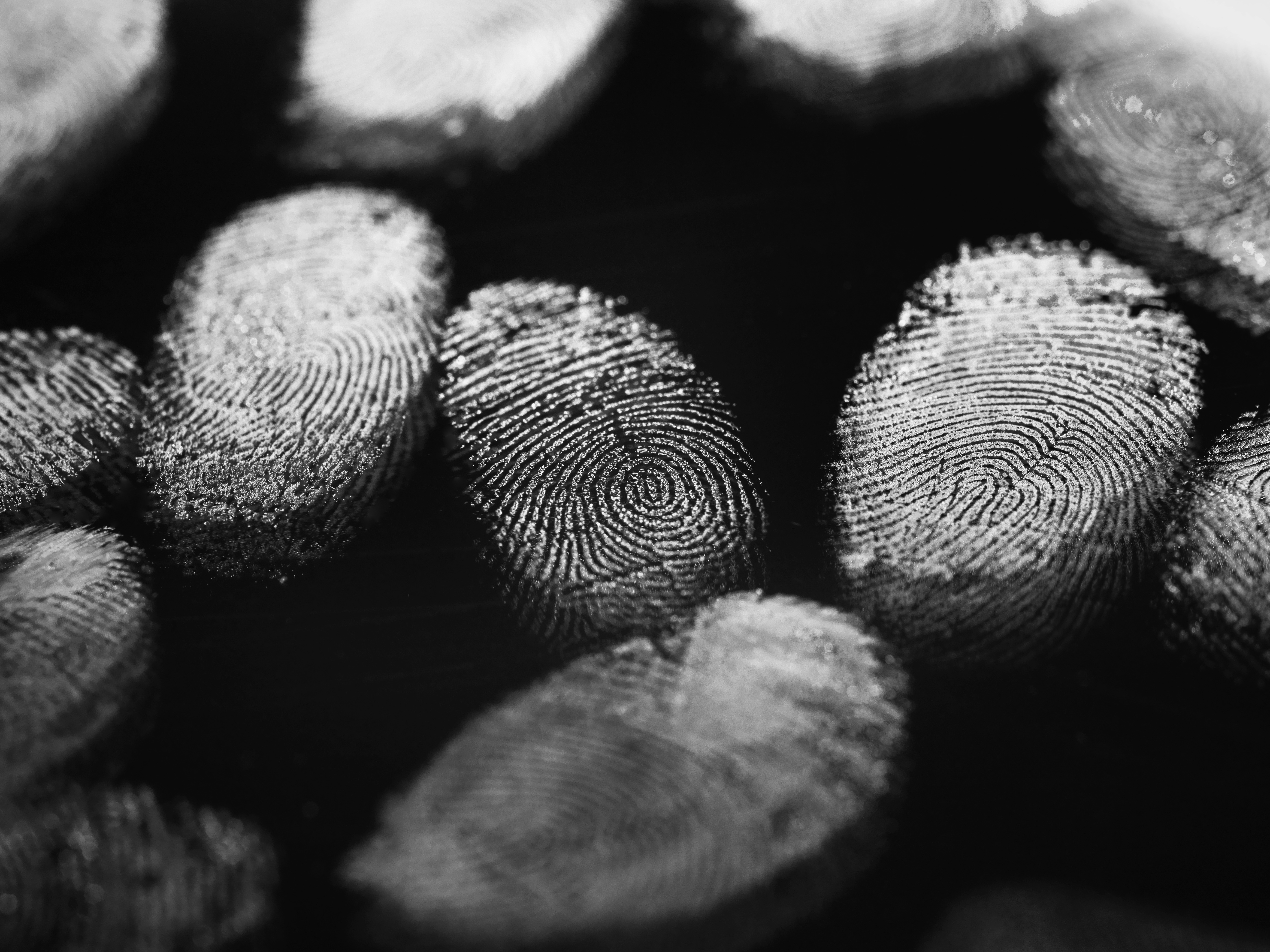 Finger Prints