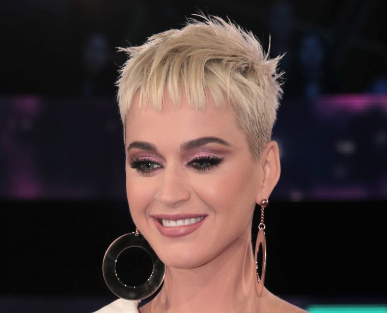 2017 MTV Video Music Awards - Red Carpet