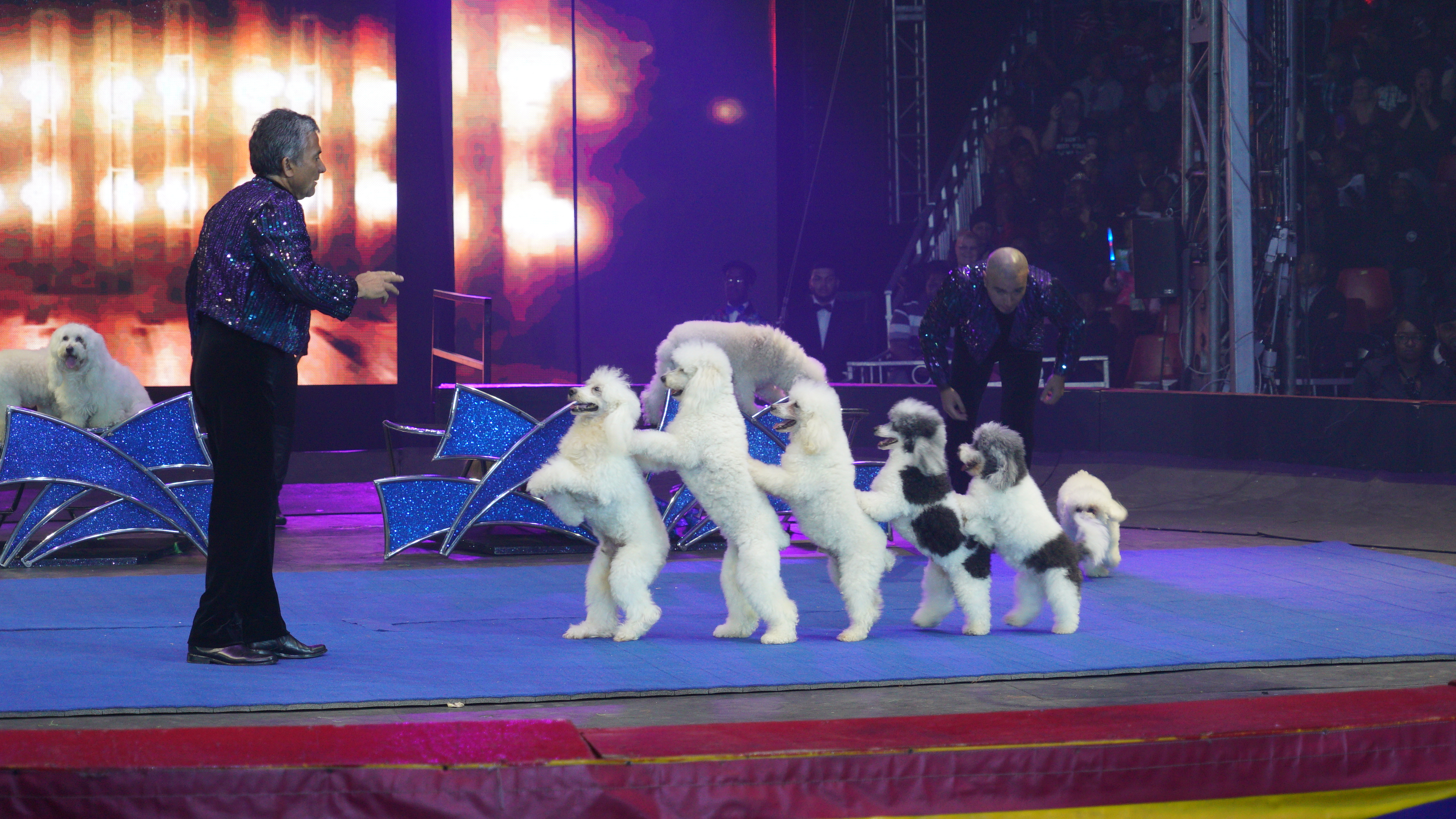 Headkrack & Gary With Da Tea At The UniverSoul Circus! [PHOTOS]