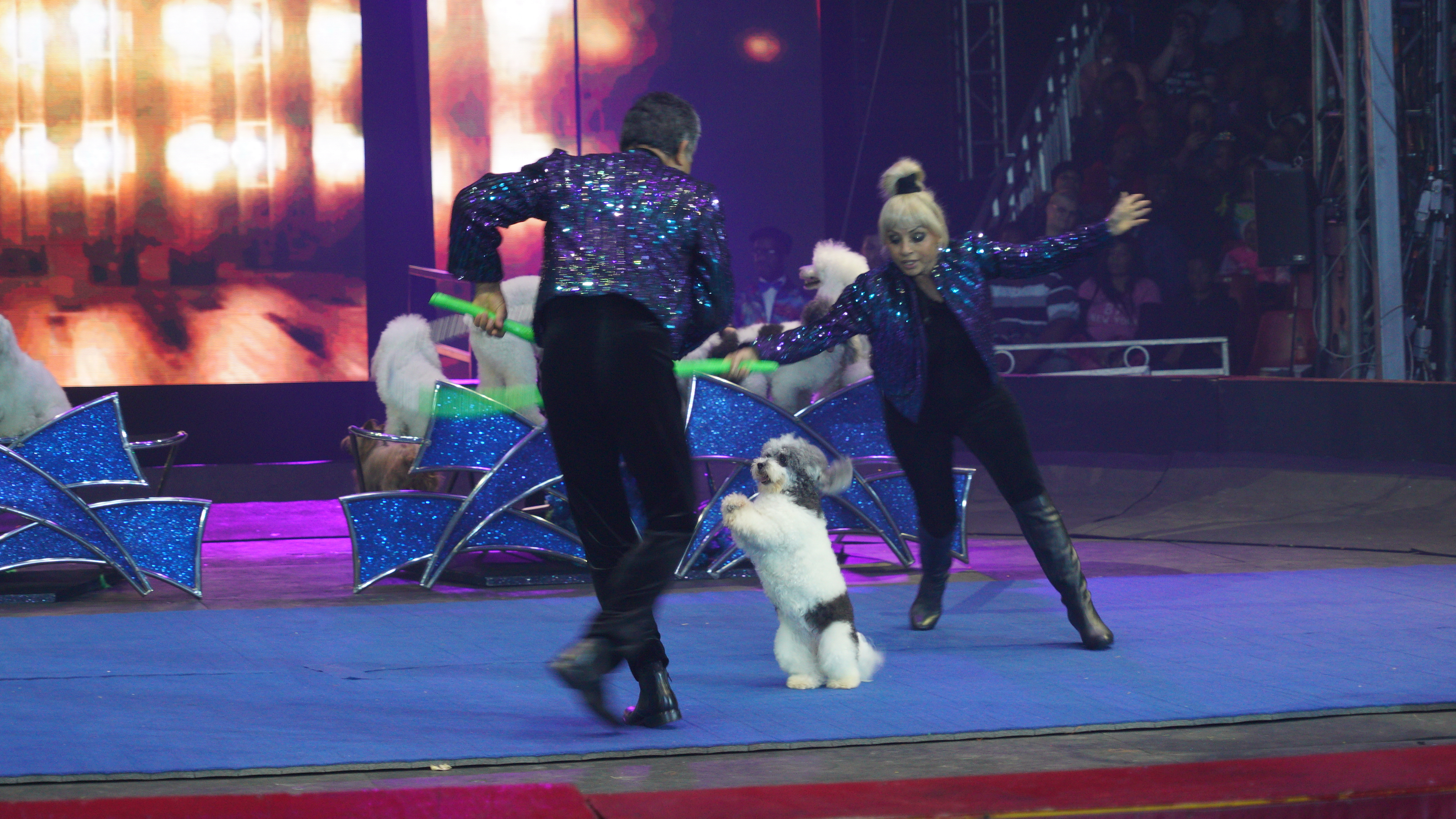 Headkrack & Gary With Da Tea At The UniverSoul Circus! [PHOTOS]