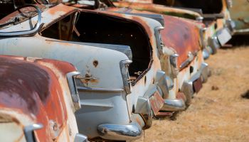 Tail ends of Holden FBs, FCs and FEs in wrecking yard.