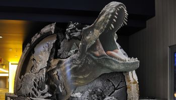 Universal CityWalk Hosts Advance Screenings Of 'Jurassic World: Fallen Kingdom'