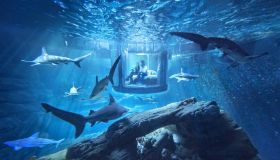 A Night Among The Sharks: Aquarium De Paris Hosts The First Ever Underwater Bedroom On Airbnb