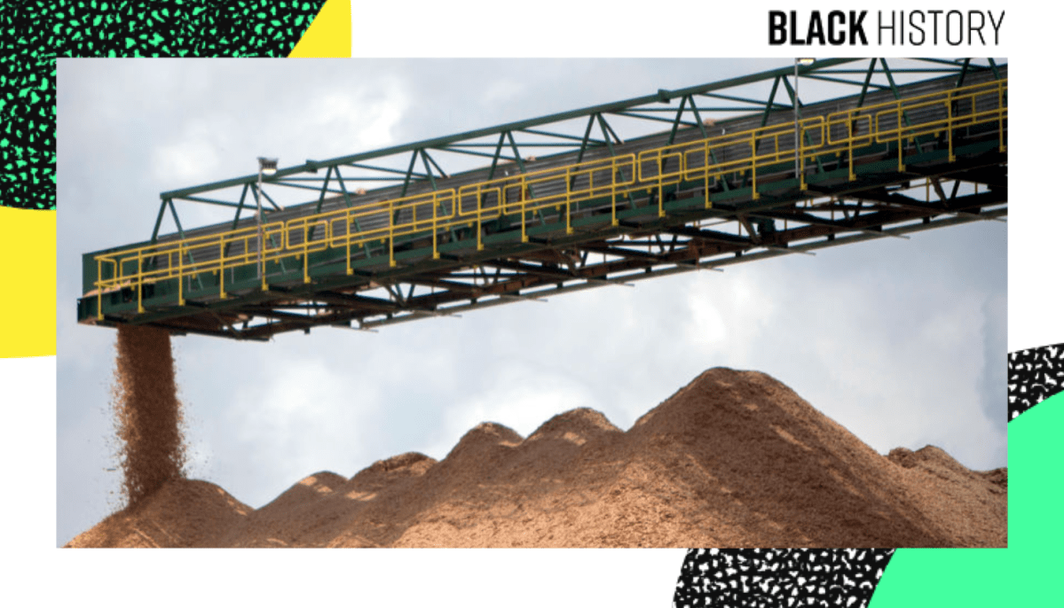Corporate Accountability & Black Dollars: BHM DLs