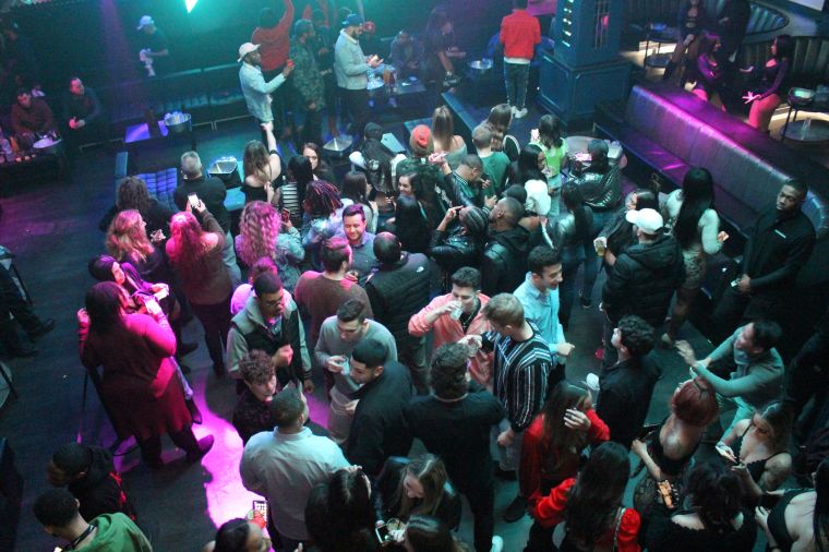 Attend Live Performances and Concerts