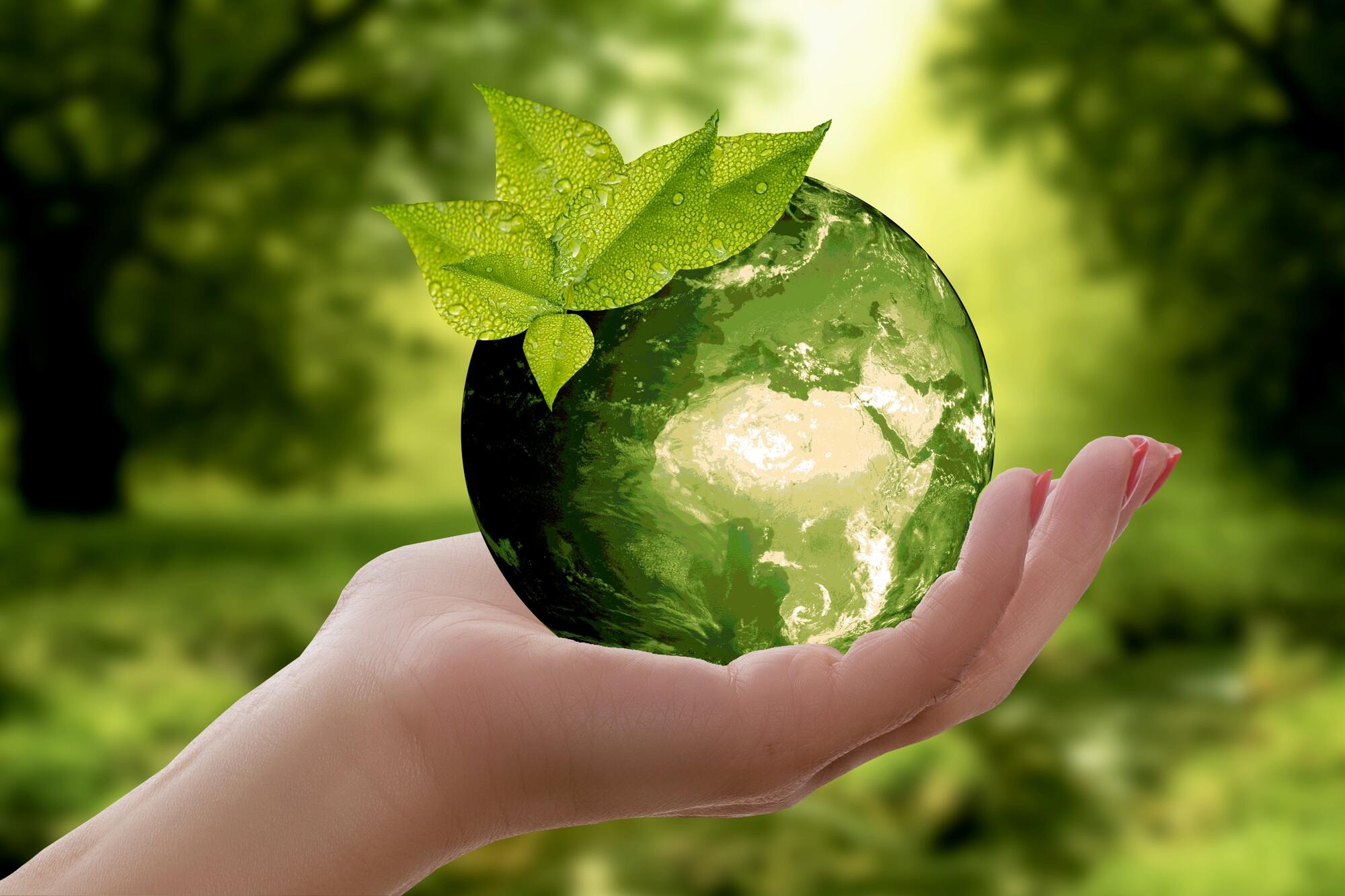 Learn why eco-friendly companies are thriving in the modern world