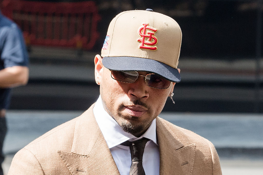 Chris Brown Seeks New Trial to Overturn $13 Million Dog Bite Verdict